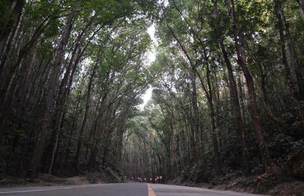 Three weeks in the Philippines (Part&nbsp;1)