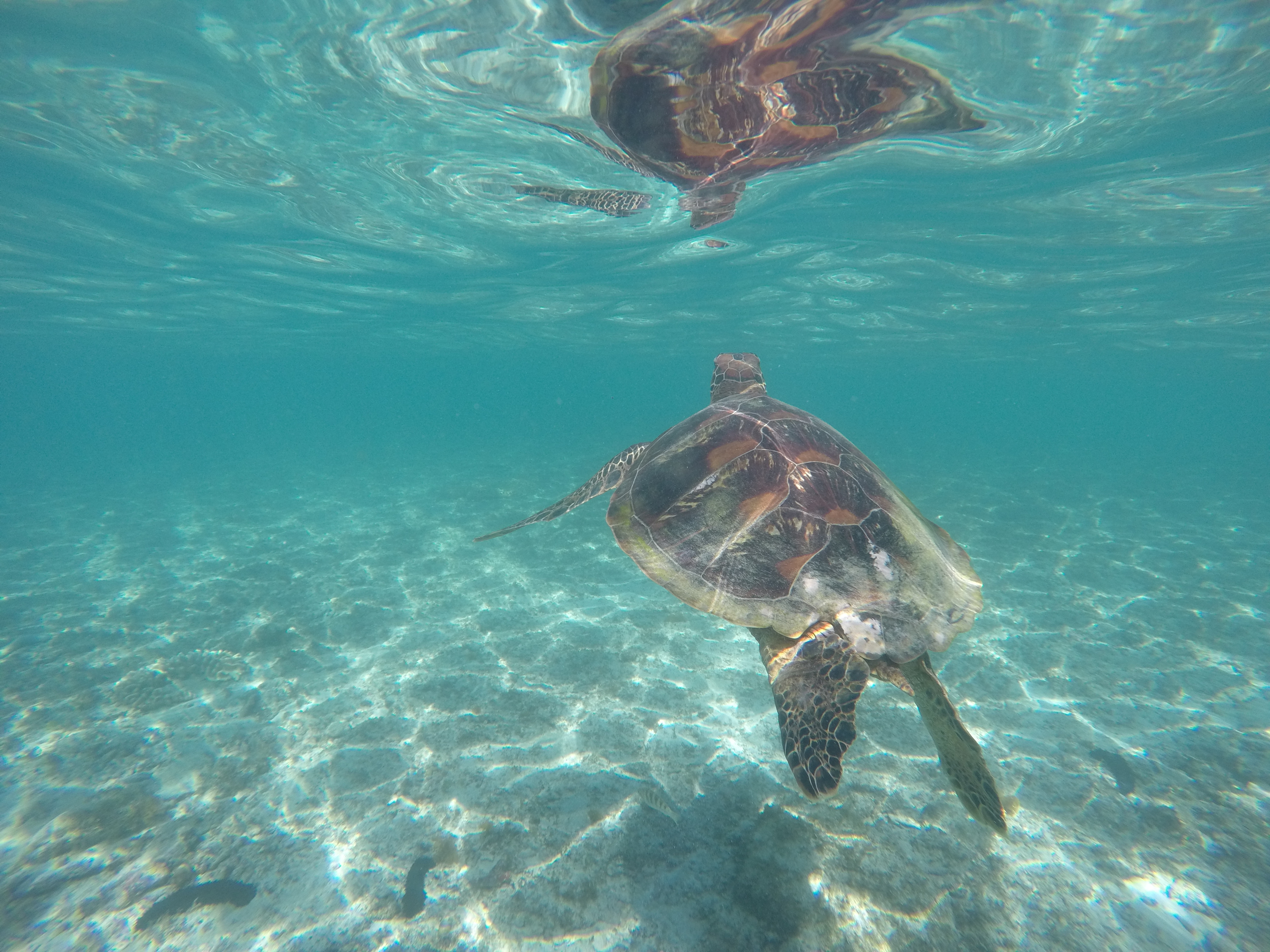 DCIM\100GOPRO\GOPR7282.