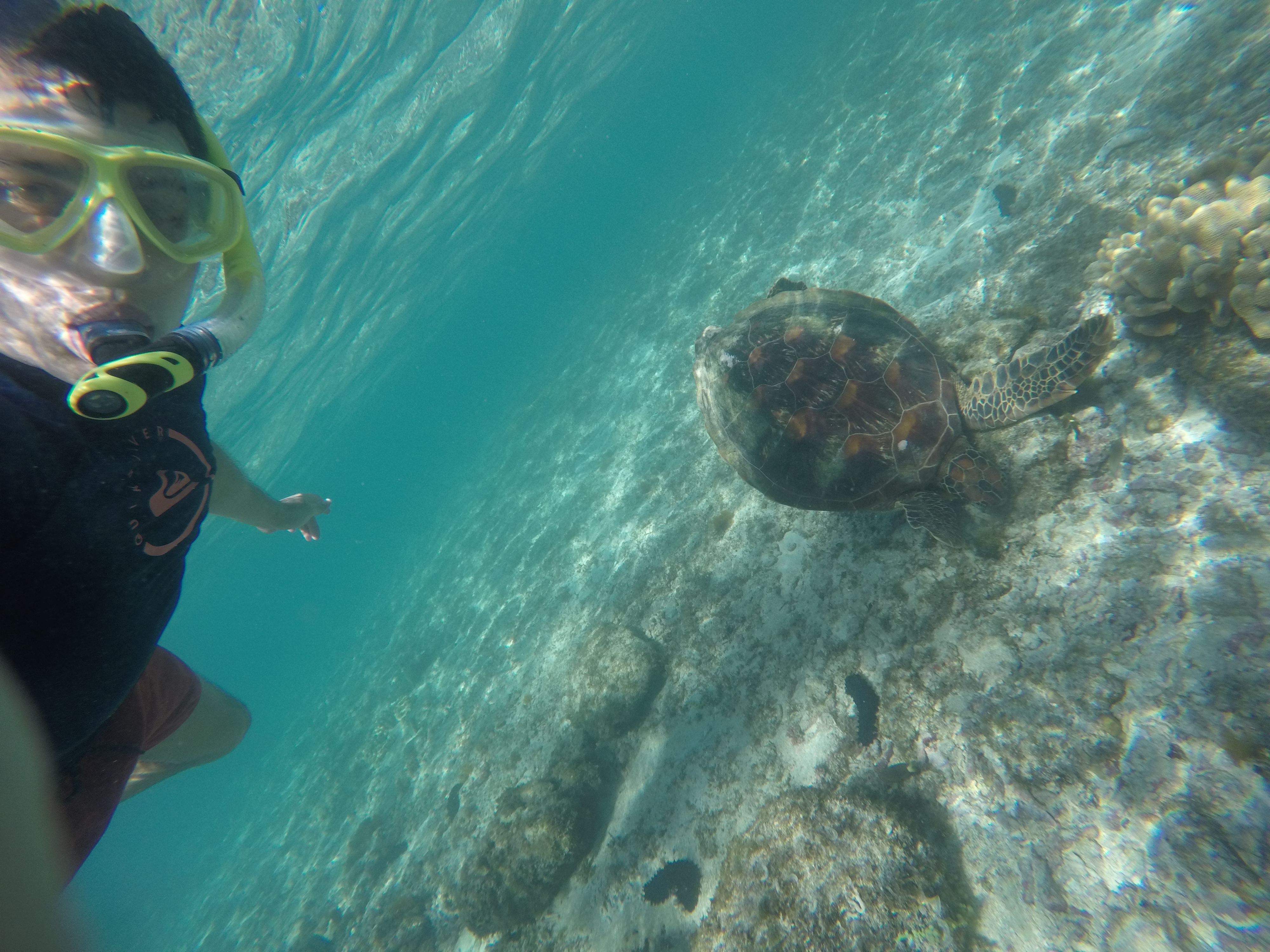 DCIM\100GOPRO\GOPR7284.